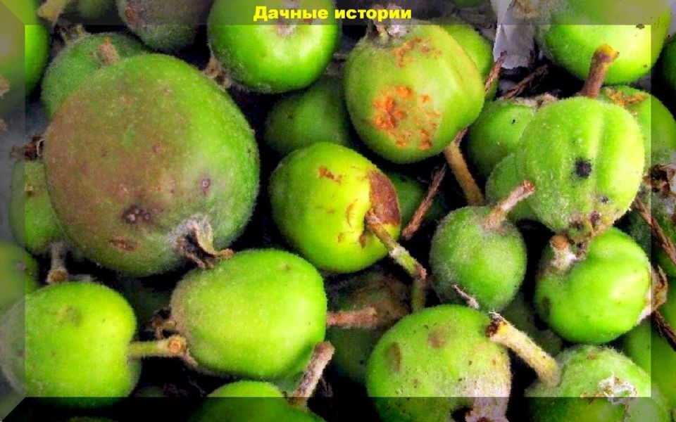 ��� ���������� ������ ��� �������� ������: ������� � ������