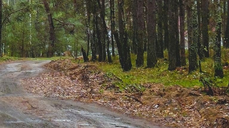 �������� ���������� �� ������� ���, ��� ����� ����� � ����� ������ � ����