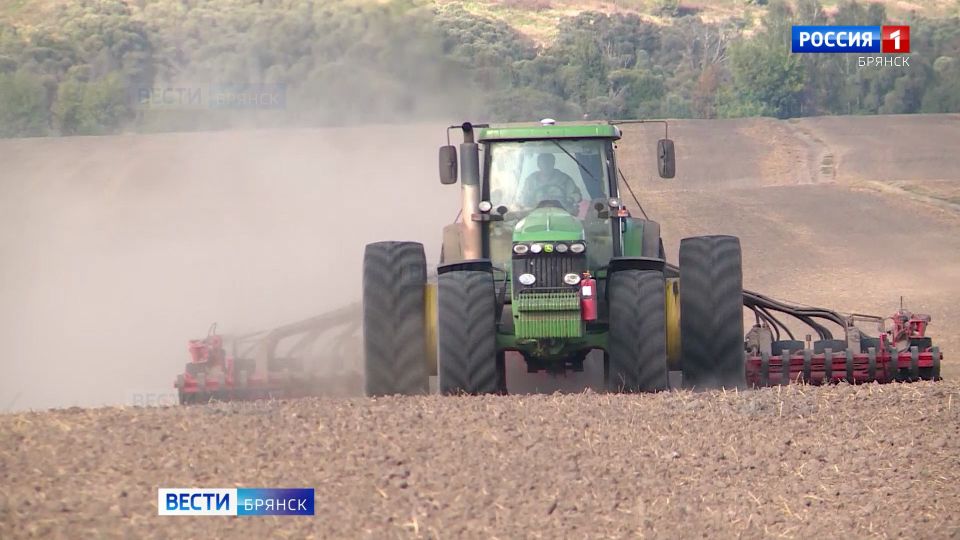 �������-������� ������ ���������� �� ���������� ���� ��������