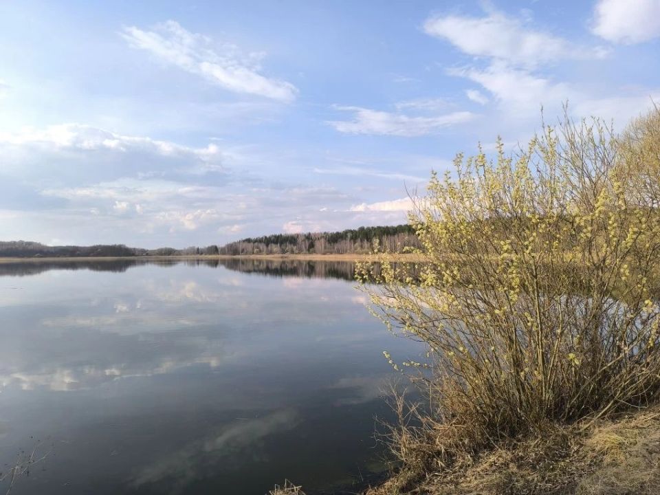 ������ ��������,. �������� �������;