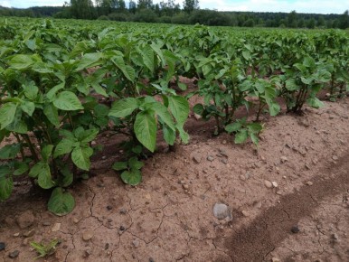 ���������� ���������: ������� ������ ��� �������� ������