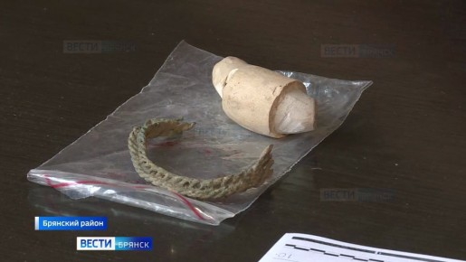 В Брянской области взяли под охрану новое древнерусское селище