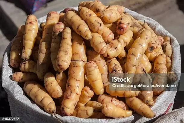 Необычные сорта картофеля, о которых стоит узнать