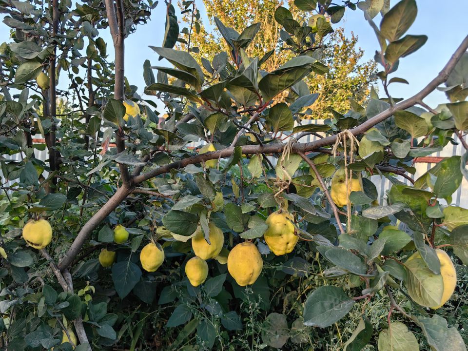 ������, ������� ��������� �������� ������