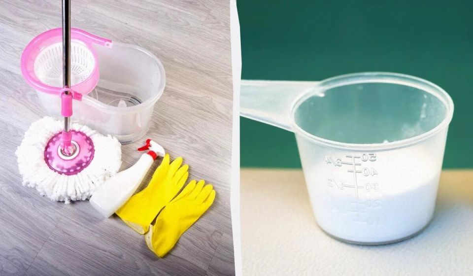 ��������� � �������: ��� ������ ����, ����� �������� �������