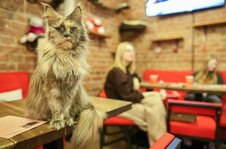 �������� � ��������� ��������� � ��������������� ����������