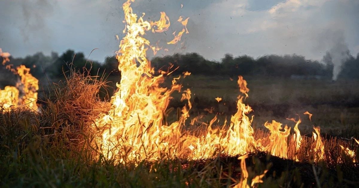 Сухая погода и длительное отсутствие осадков — благоприятные условия для распространения огня