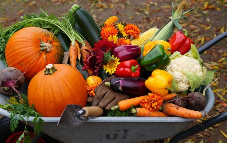 �������: ����� ��� ������� ������