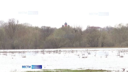 На Брянщине паводок пошел на убыль