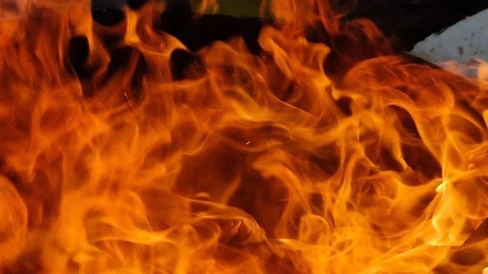 � ���� ��������� ������������ ������ �������� �����