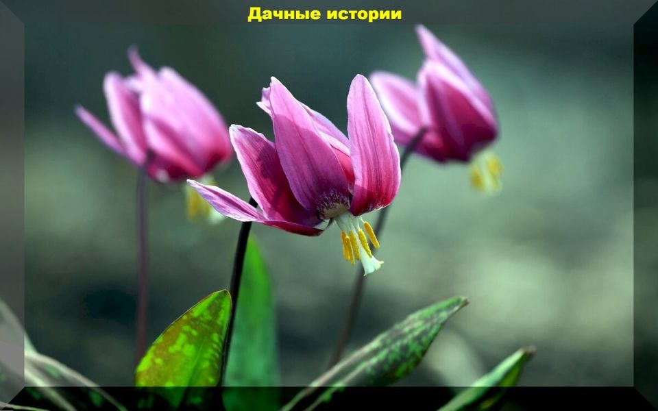 ������������� ����� � �����: ������ ��������� ����