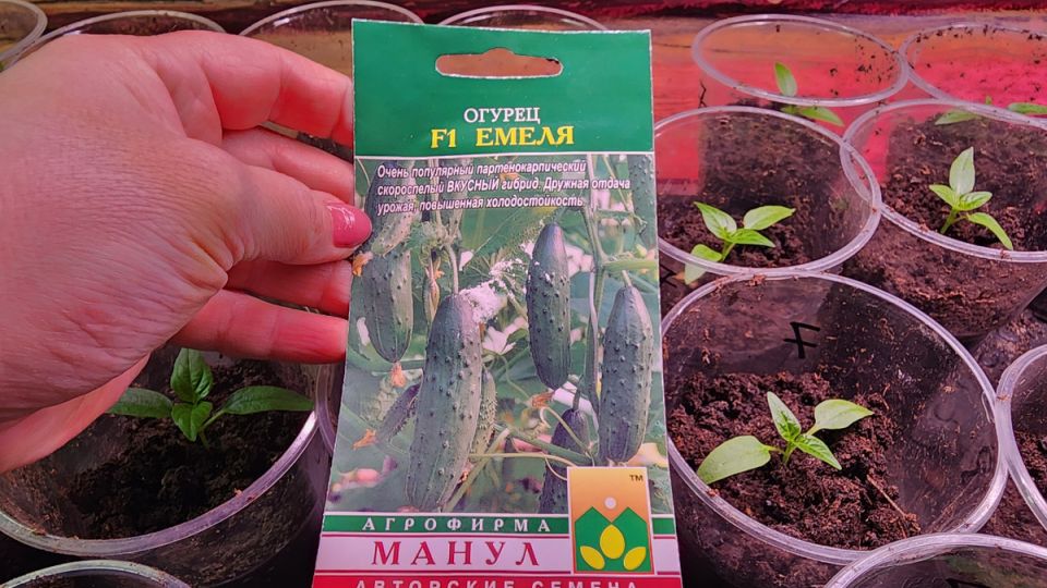 �������� ����� � ������� ����� F1: ��� ���� ��� � ������� ������