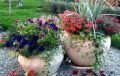 Контейнерное цветоводство: как создать эффектные цветочные композиции в горшках