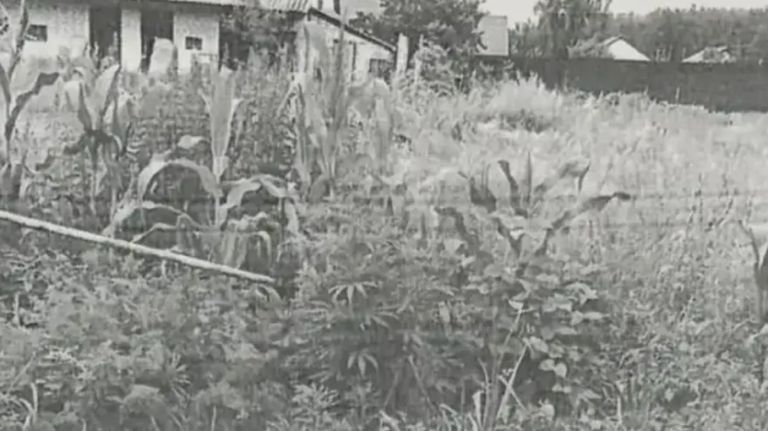 �������� ��������� ������� �� �������� � ������� ���� �� ����������� �������