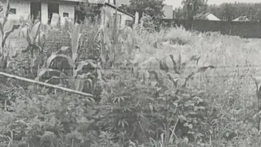 �������� ��������� ������� �� �������� � ������� ���� �� ����������� �������