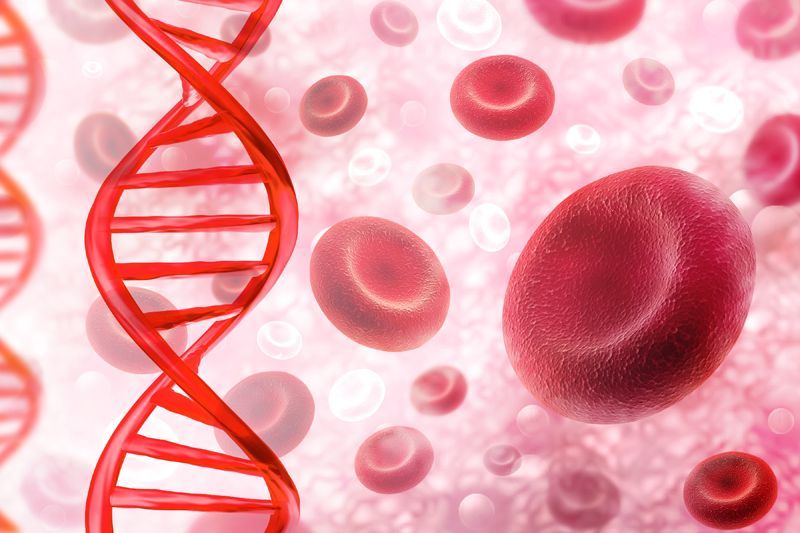 ��� ��������� �������� ����� ����������� �� ������� �����������: ������� ������