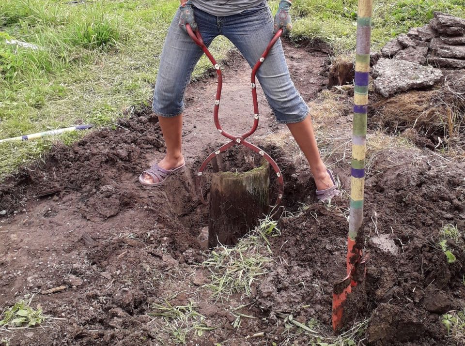 ��� ���������� �� �������� �������� �������: ������������ �����������