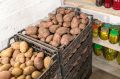 Секреты хранения картошки: как продлить свежесть до лета