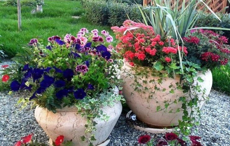 ������������ ������������: ��� ������� ��������� ��������� ���������� � �������