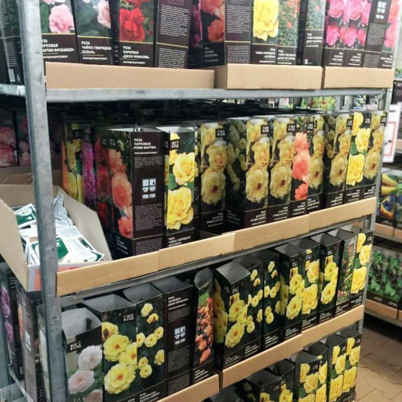 ��� ������� ��������� ������� ���: ������ ��� ���������� � ������� ���������