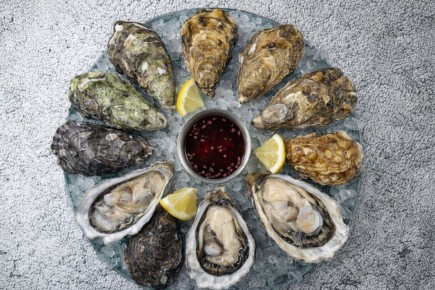 ���� � �������: ����� ��� ����������������� �����������