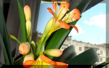 ��� ��������� ������: ������� ����� � ����������� � �������� ��������