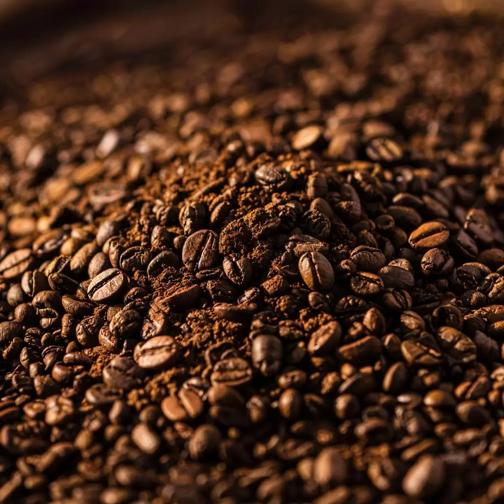 Кофейная гуща: как сделать ее вашим лучшим садовым помощником