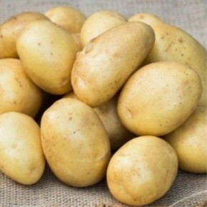 ��������� ������: ������ ���� � ����������� ����������������