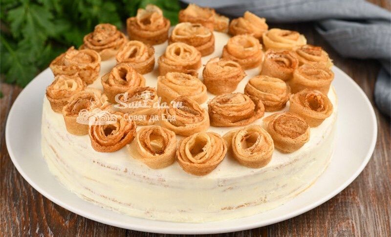 ������� ����: ��� ������� � ������� ������� ��� ������ ������