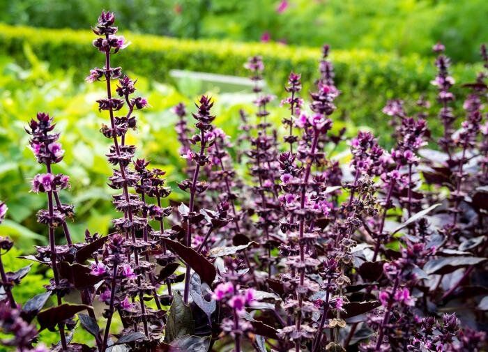 ���������� ��������: ������������ �����, � ������� ����� ������