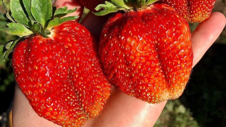 ��� �������� ��������� �������� ��������� ������ �������� �� ������