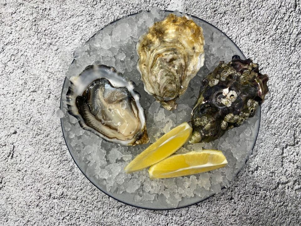 ����������� �������� ������ Sp?ciale de Claire G