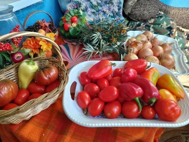 Сентябрьское изобилие: Почему овощи — ключ к здоровью и долголетию