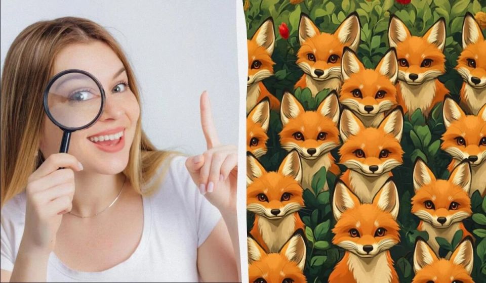 ������� ������ ����� �����: ��������� ���� �������������� �� 5 ������