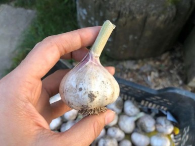 ��� �������� ������� ������ �������: ������ ������, ������� ��������