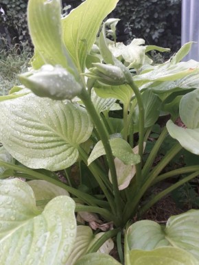 ��� ���������� ���������� � �������� � �������� � ����