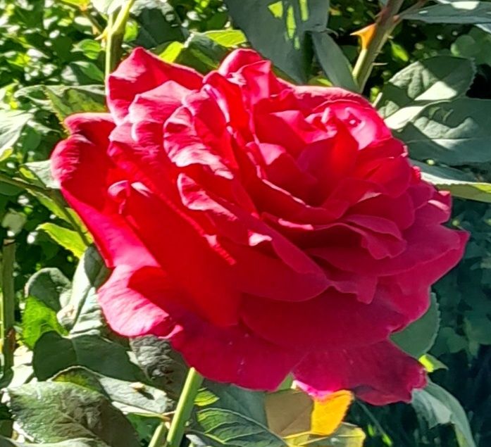 ���� ��� ������ ����: �������� ������ ����