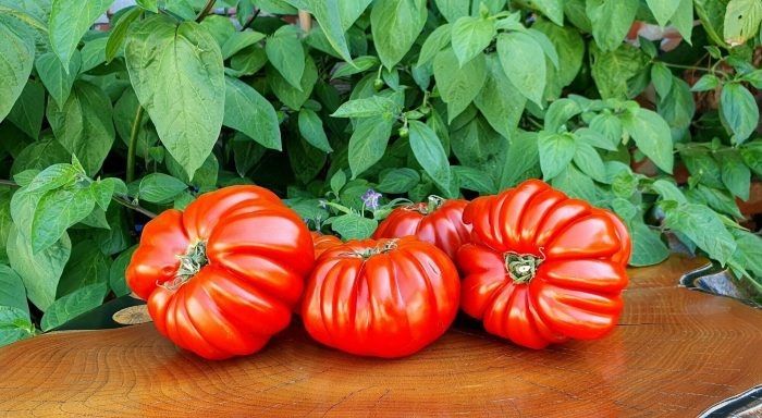 �������������� ��������: ��������� ����� � ����������� �������������� ������� � ����� ������