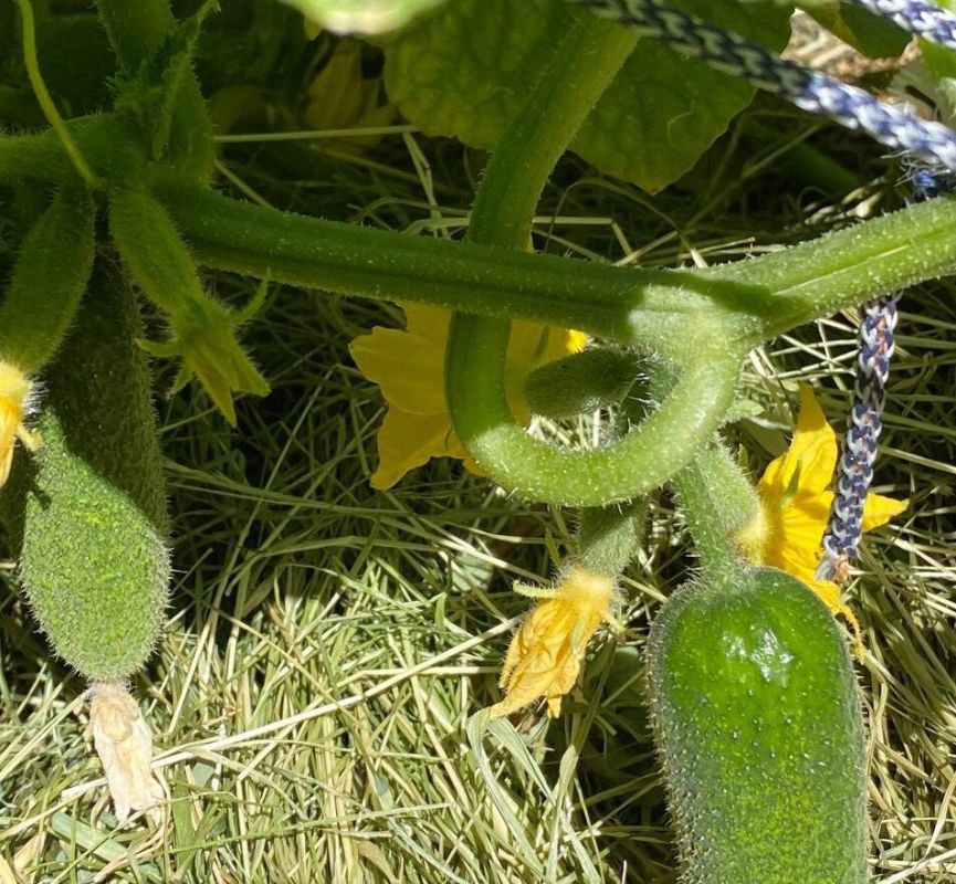 �������������: ��������� ������ � ����� ������� � ��� ���������