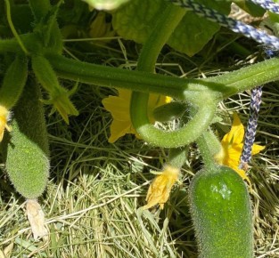 �������������: ��������� ������ � ����� ������� � ��� ���������