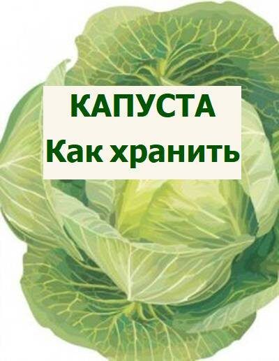 ������� ���������� �������� �������