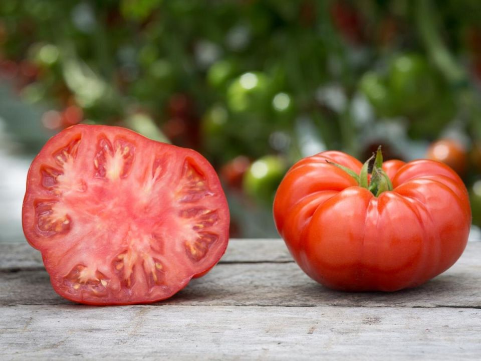 ������� ������: �����, ������� ������ ����� ������ � ������� �������