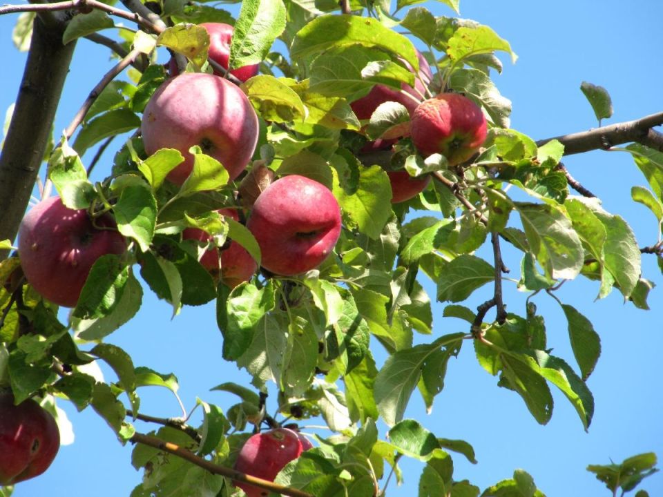 ��������� ������: ����������� ��� ��� ����