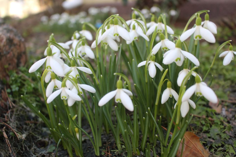 ������ ����� � ���� �� �������: �������� �������� � ����