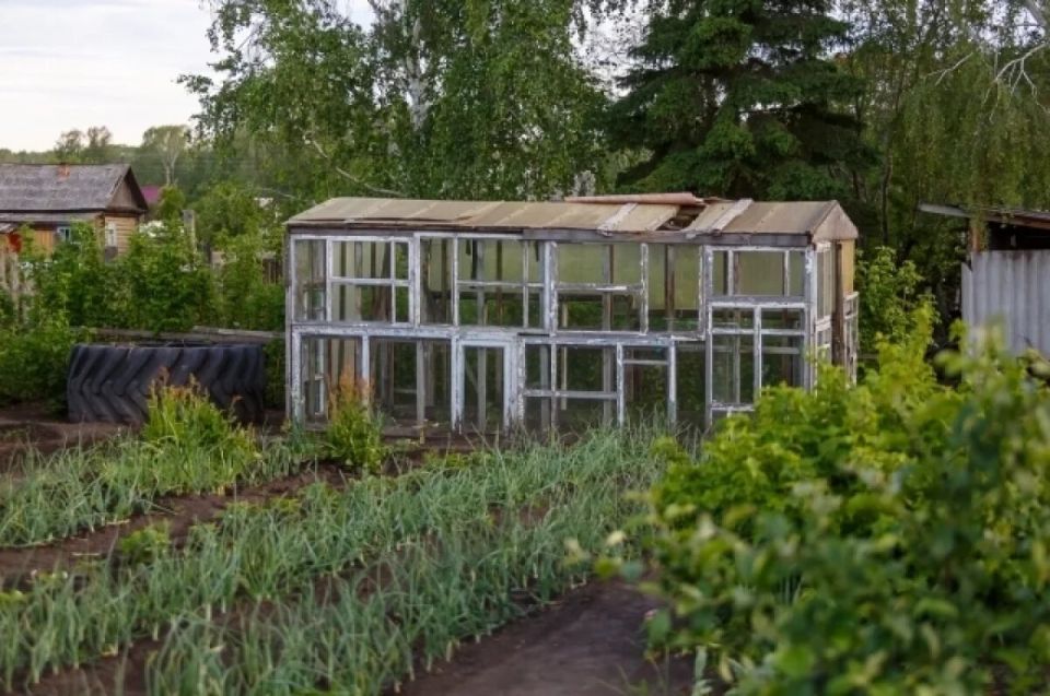 ����� � ������� ����� ��� � �����: ������ �������� ��������