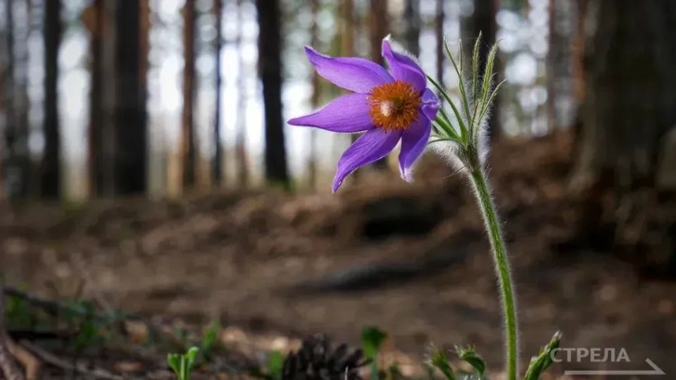 ������, 14 ������, �� ���������� �������� ������� ��������� �������� ������