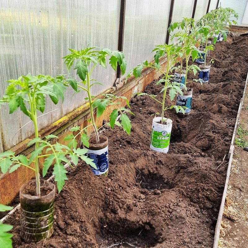 ��� ��������� ���������� ������: ������� ��������� �����������