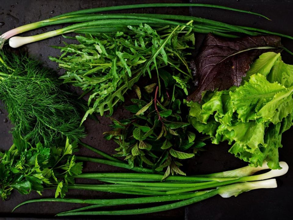 ������ ������ �� �����������: ������� ������������ �������