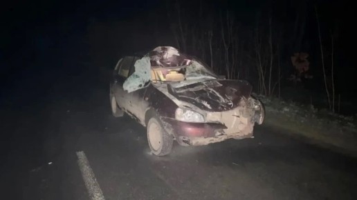 Под Севском «Лада» сбила лошадь, пострадала пассажирка