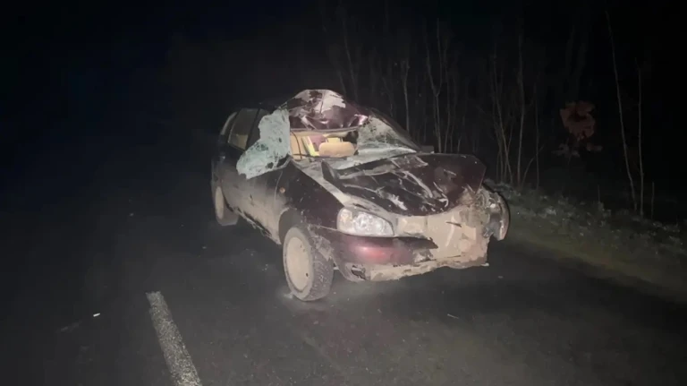 Под Севском «Лада» сбила лошадь, пострадала пассажирка